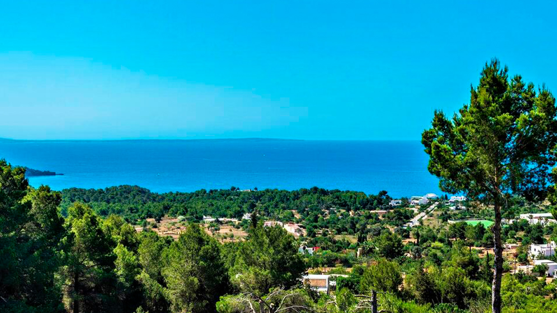 Ibiza - Beluga